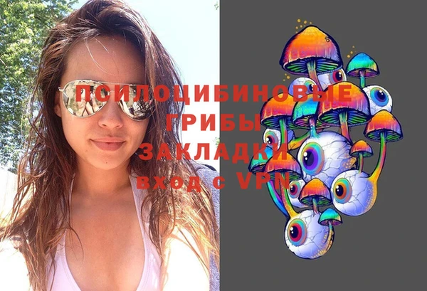 винт Алексеевка