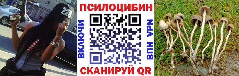 ссылка на мегу рабочий сайт  Бологое  Псилоцибиновые грибы ЛСД  купить наркотики цена 